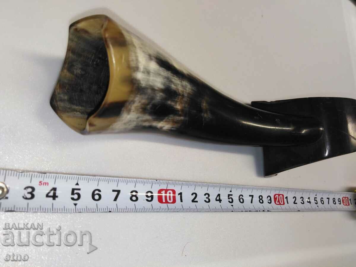 Horn-vase, for material, decoration, etc., horns - 5