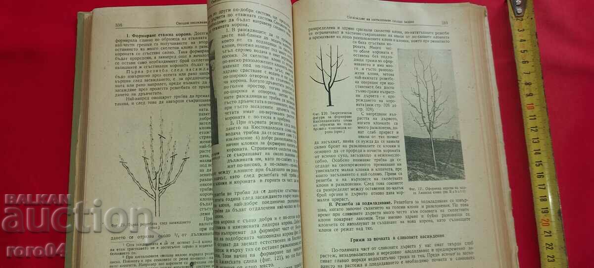 Delivery of FRUIT GROWING - V. VELKOV Delivery of FRUIT GROWING - V. VELKOV