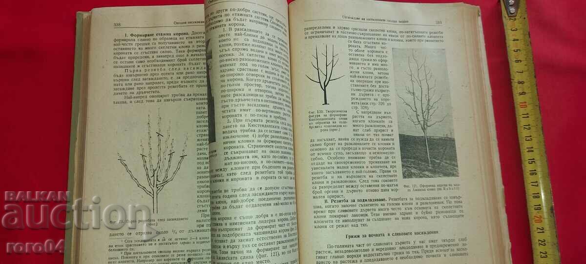 Livrarea POTICULTURA - V. VELKOV