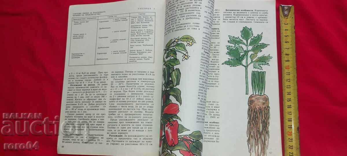 PRIVATE BUSINESS ADVICE - 5