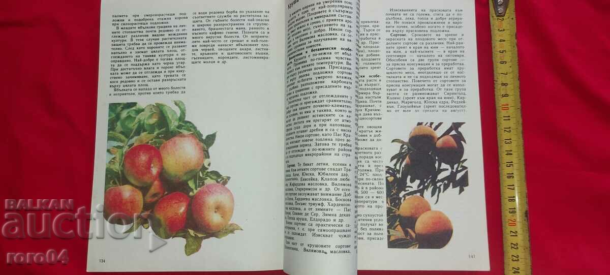 PRIVATE BUSINESS ADVICE - 6