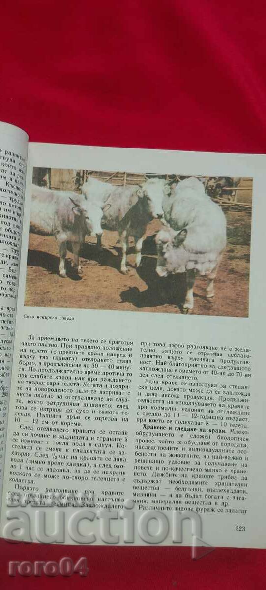 PRIVATE BUSINESS ADVICE - 7