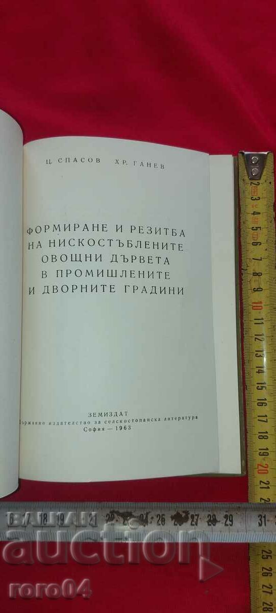 ФОРМИРАНЕ И РЕЗИТБА - Ц. СПАСОВ / ХР. ГАНЕВ с цена € 15.99 | 31.27 лв.