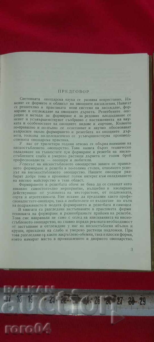 Аукцион ФОРМИРАНЕ И РЕЗИТБА - Ц. СПАСОВ / ХР. ГАНЕВ