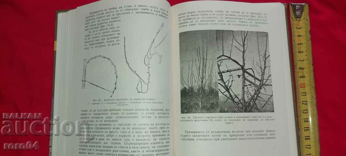 Доставка на ФОРМИРАНЕ И РЕЗИТБА - Ц. СПАСОВ / ХР. ГАНЕВ