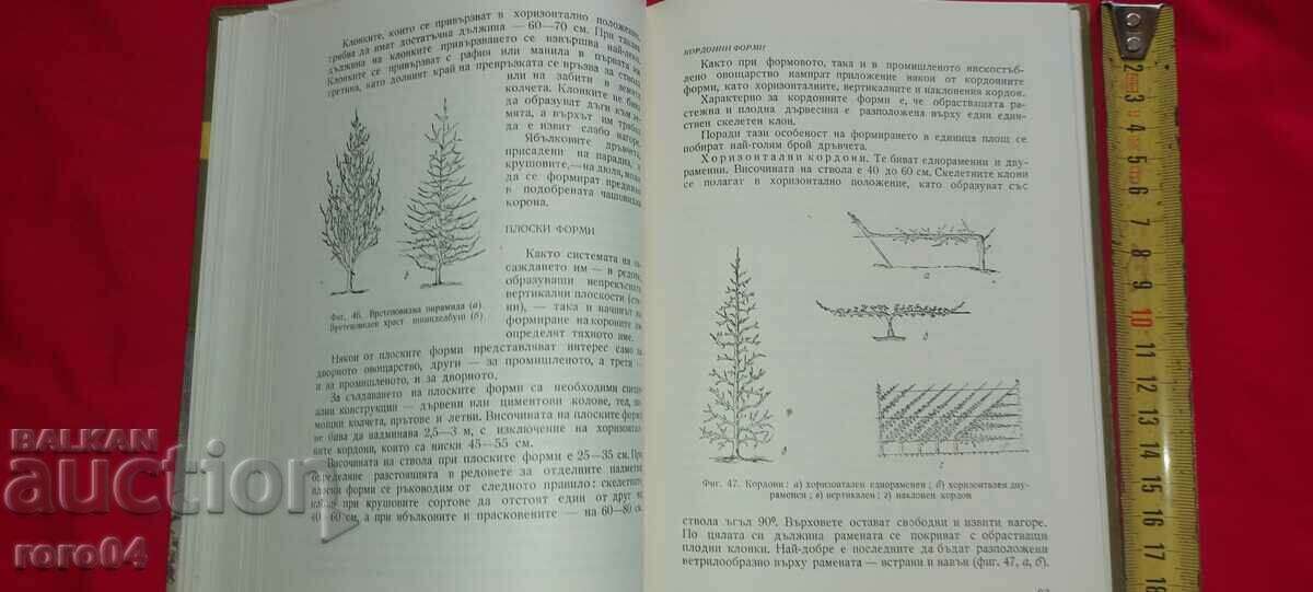 ΣΧΗΜΑΤΙΣΜΟΣ ΚΑΙ ΚΛΑΔΕΜΑ - C. SPASOV / HR. ΝΤΡΟΠΙΑΣΜΕΝΟΣ - 5 ΣΧΗΜΑΤΙΣΜΟΣ ΚΑΙ ΚΛΑΔΕΜΑ - C. SPASOV / HR. ΝΤΡΟΠΙΑΣΜΕΝΟΣ - 5