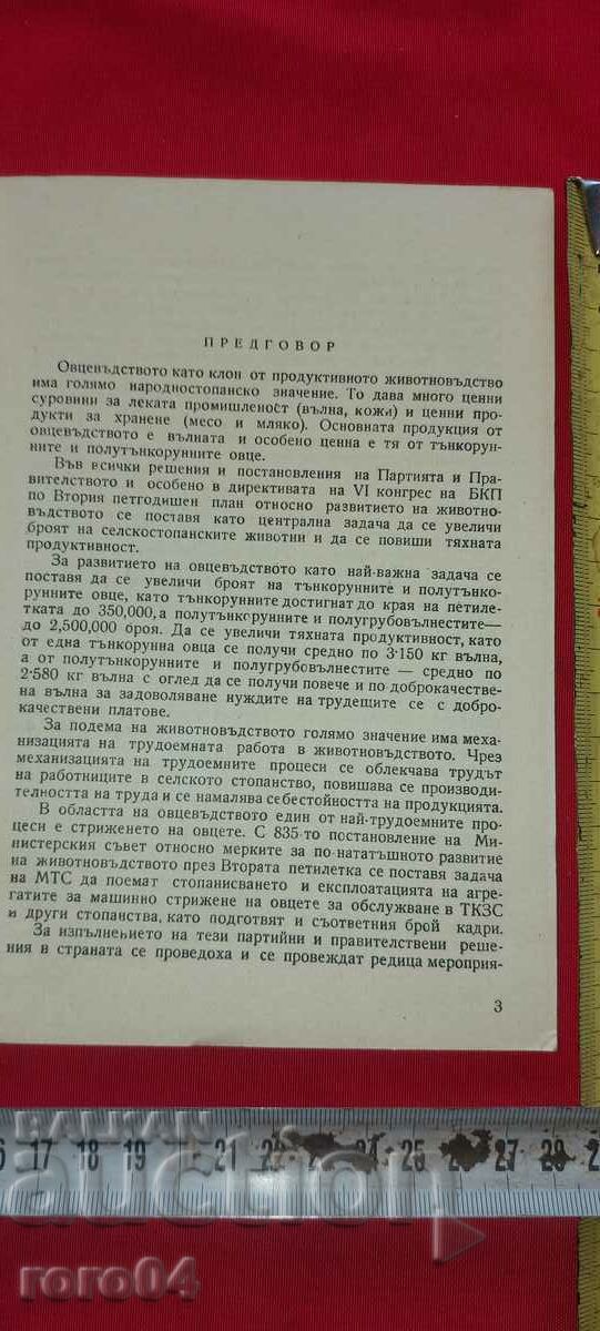 Auction SHEEP SHEARING AND WOOL GRINDING Auction SHEEP SHEARING AND WOOL GRINDING