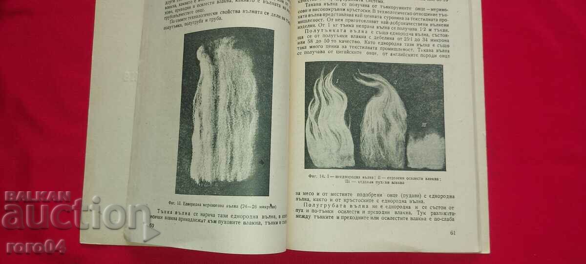 SHEEP SHEARING AND WOOL GRINDING - 5 SHEEP SHEARING AND WOOL GRINDING - 5