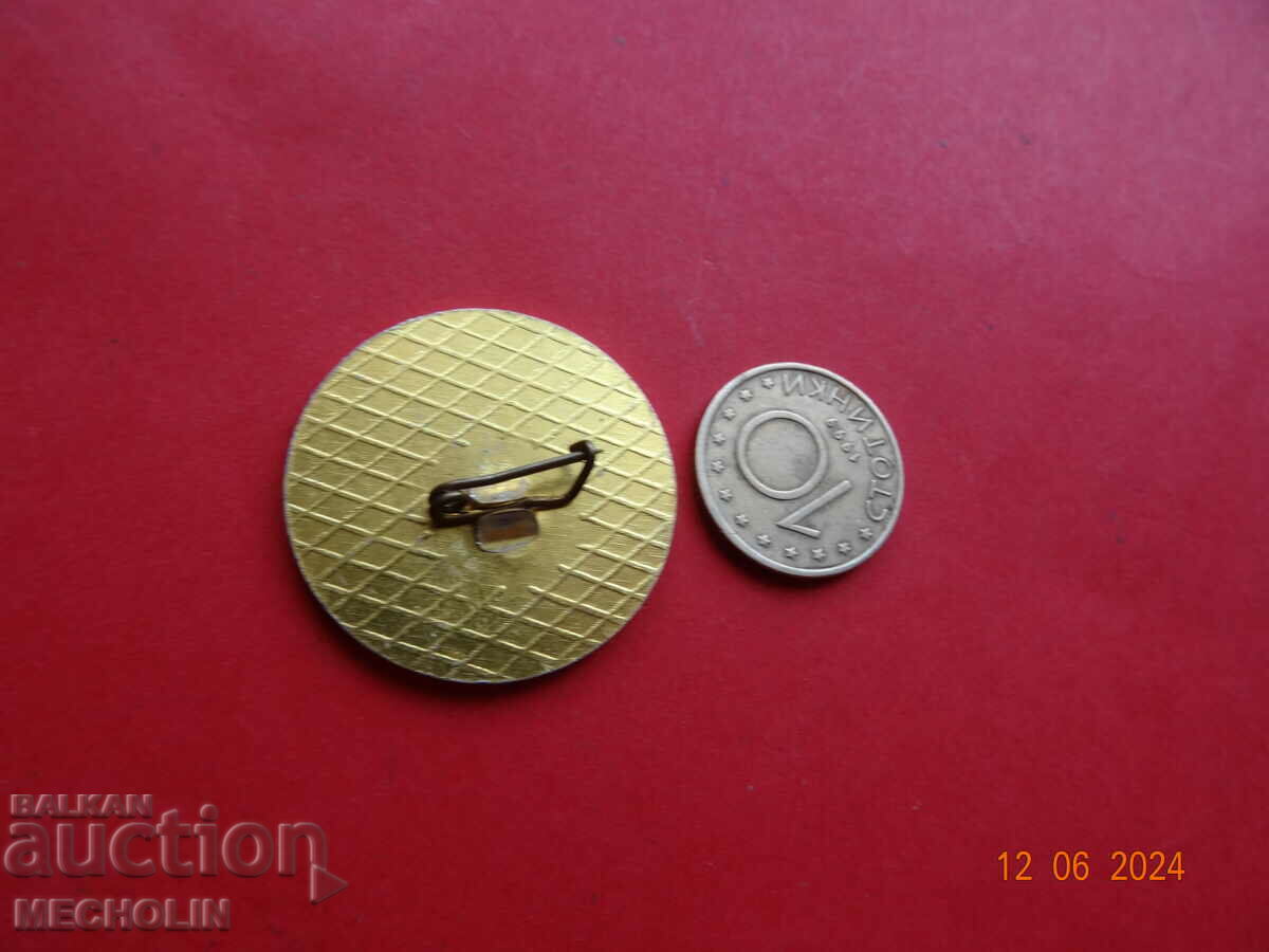 Auction  COLLECTIBLE PILLOW BADGE