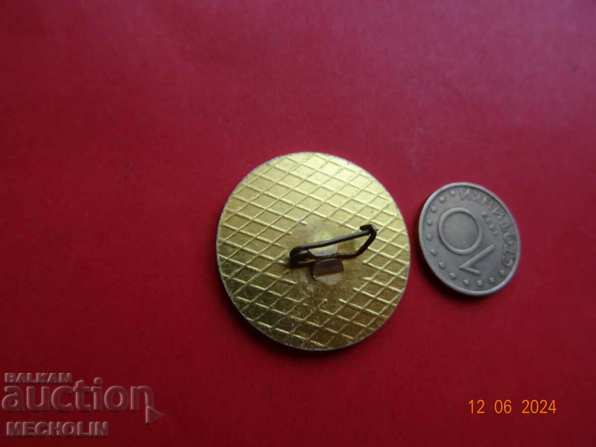 Delivery of COLLECTIBLE PILLOW BADGE