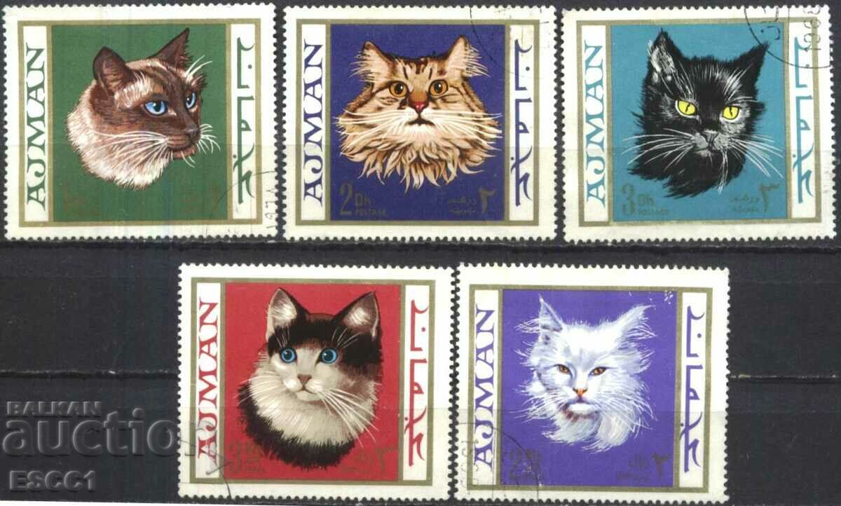 Клеймовани марки Фауна Котки 1968 от Аджман