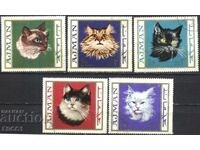 Stamps Fauna Cats 1968 from Ajman