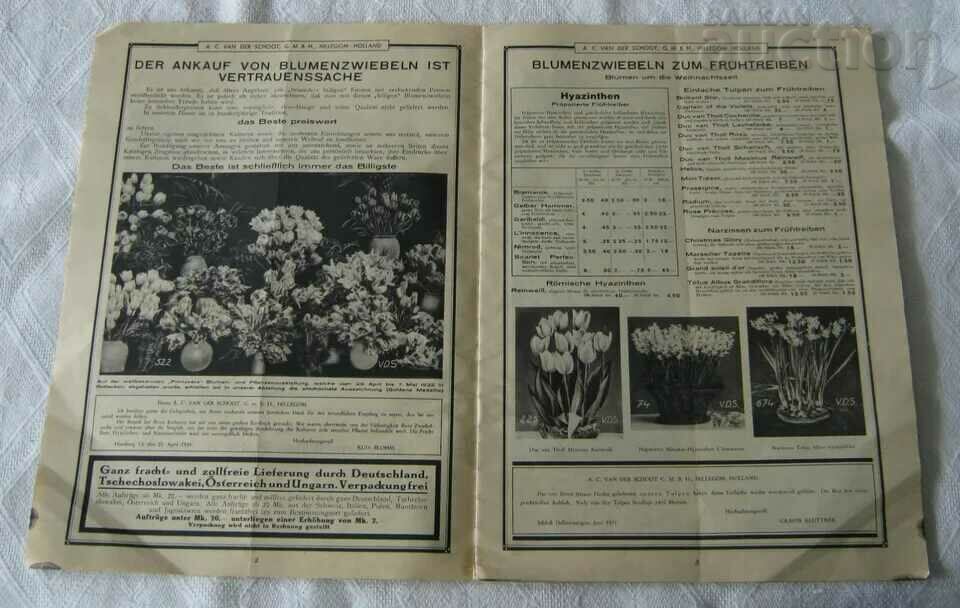 Auction NURSERY CATALOG A. C. VAN DER SCHOOT HILLEGOM 1932 Auction NURSERY CATALOG A. C. VAN DER SCHOOT HILLEGOM 1932
