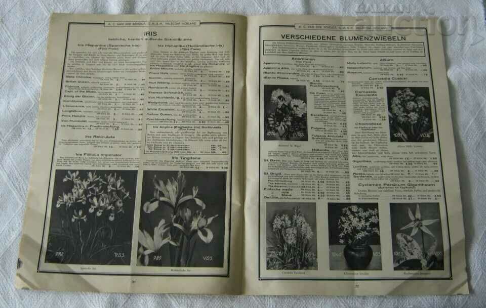 Delivery of NURSERY CATALOG A. C. VAN DER SCHOOT HILLEGOM 1932 Delivery of NURSERY CATALOG A. C. VAN DER SCHOOT HILLEGOM 1932