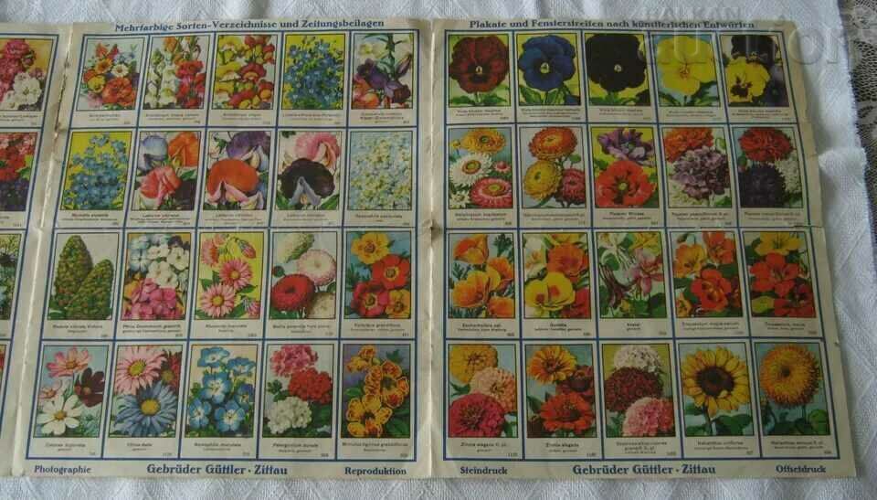 NURSERY CATALOG A. C. VAN DER SCHOOT HILLEGOM 1932 - 5 NURSERY CATALOG A. C. VAN DER SCHOOT HILLEGOM 1932 - 5