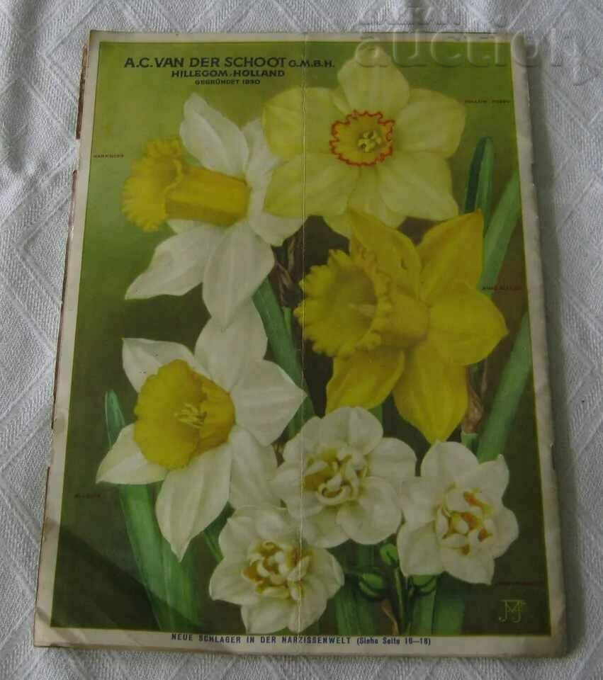 NURSERY CATALOG A. C. VAN DER SCHOOT HILLEGOM 1932 - 6 NURSERY CATALOG A. C. VAN DER SCHOOT HILLEGOM 1932 - 6