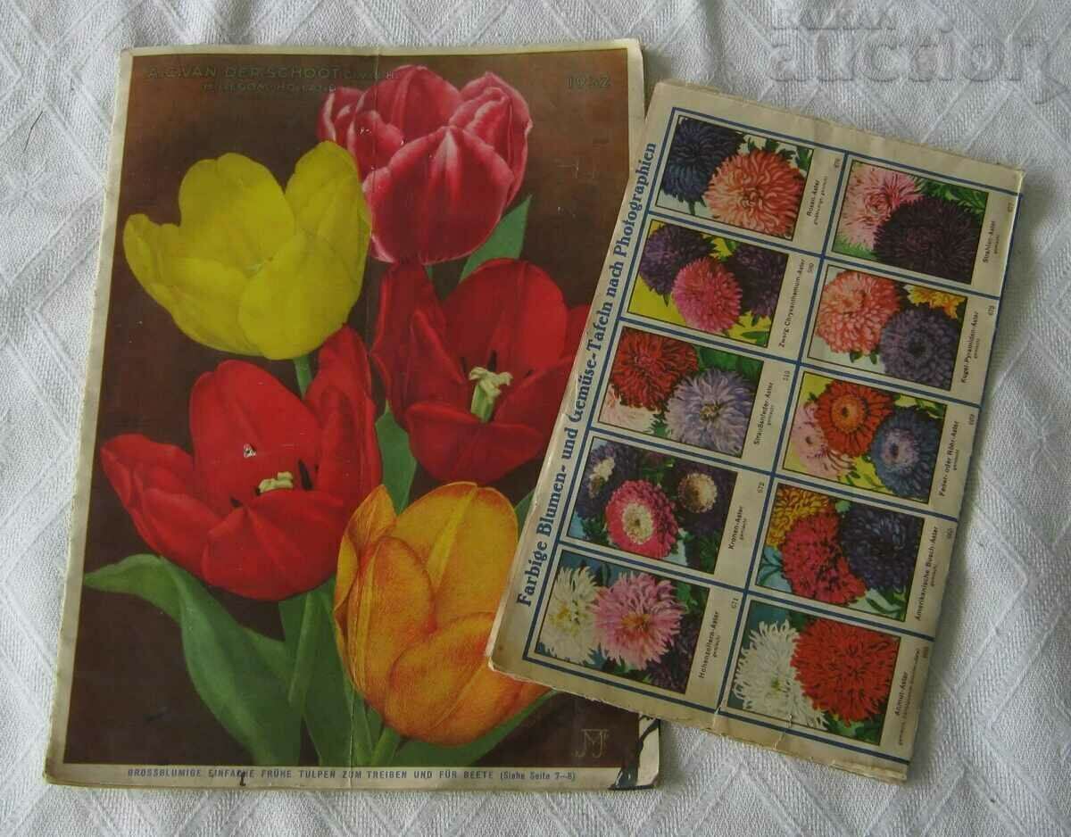 NURSERY CATALOG A. C. VAN DER SCHOOT HILLEGOM 1932 - 7 NURSERY CATALOG A. C. VAN DER SCHOOT HILLEGOM 1932 - 7