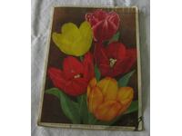 CATALOG PĂCĂRIE A. C. VAN DER SCHOOT HILLEGOM 1932