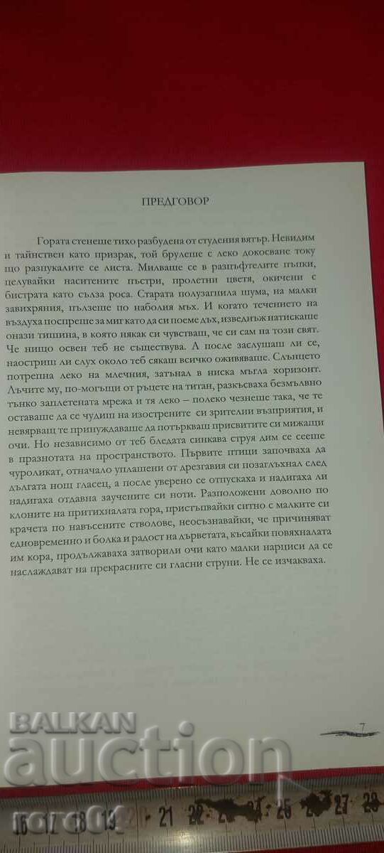 Auction DOOMED - VLADI VLADIMIROV Auction DOOMED - VLADI VLADIMIROV