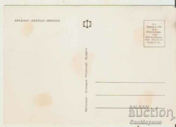 Card Bulgaria Breznik Overview* with price 4.40 BGN | € 2.25