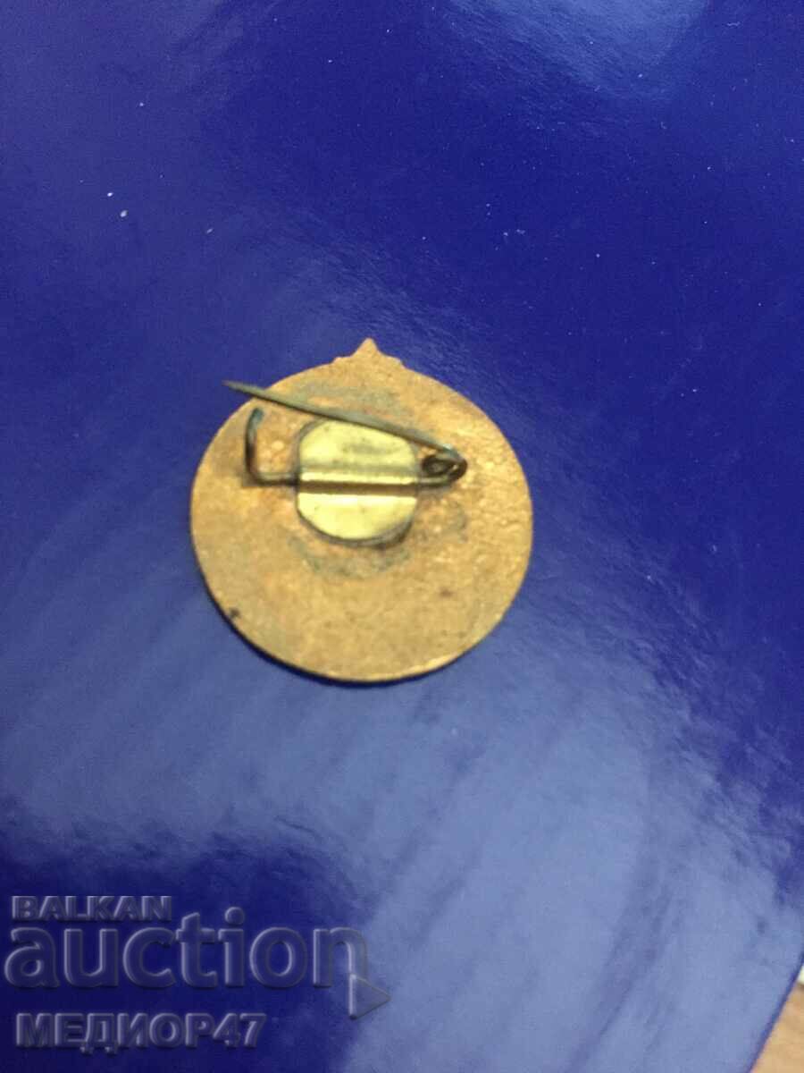 Auction Badge - Read the description. Auction Badge - Read the description.