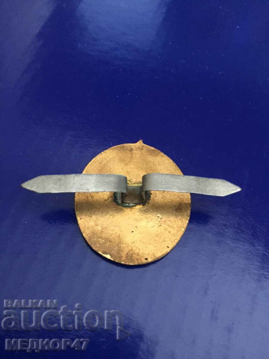 Badge - Read the description. with price 15.00 BGN | € 7.67