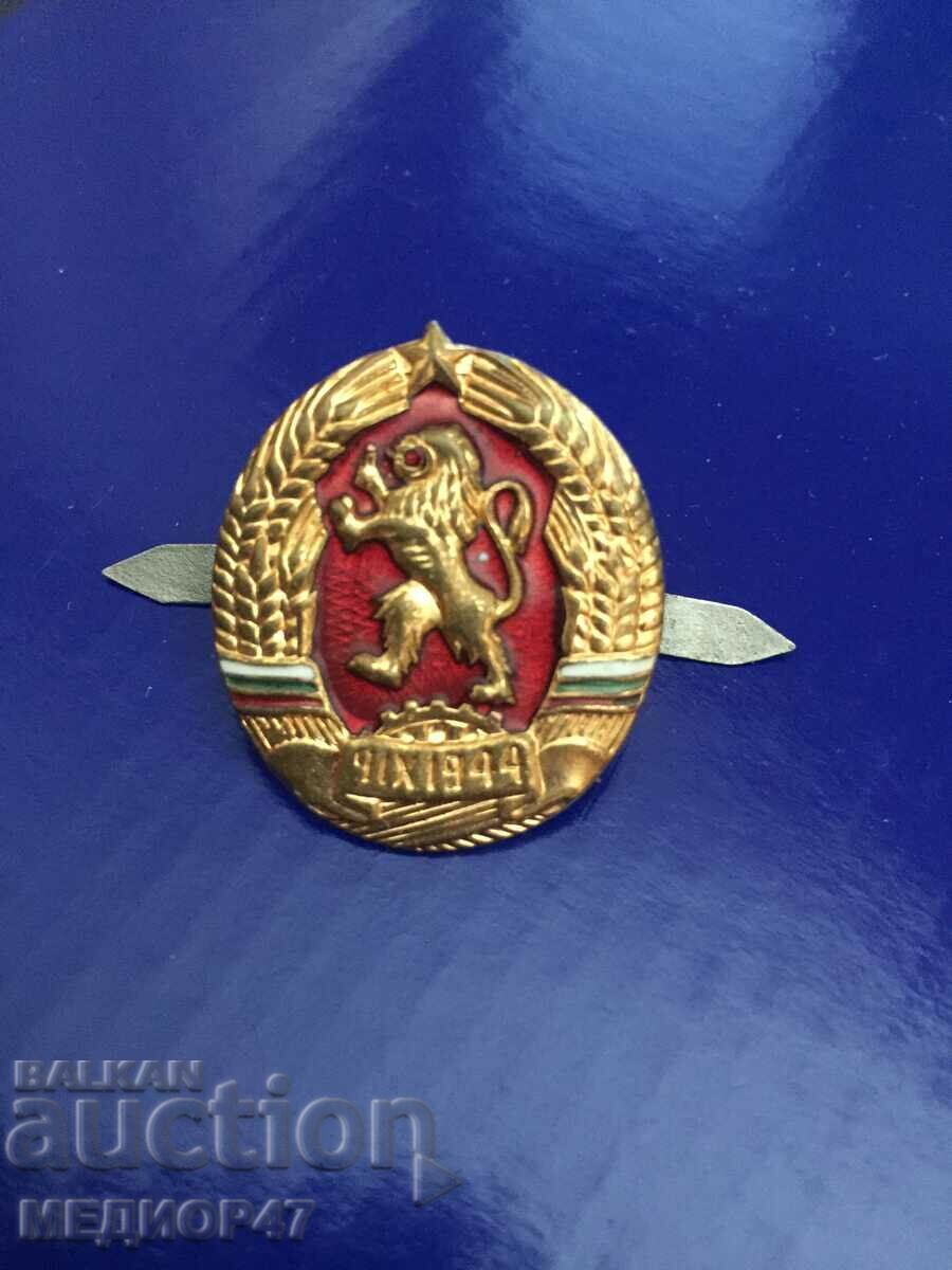 Badge - Read the description.
