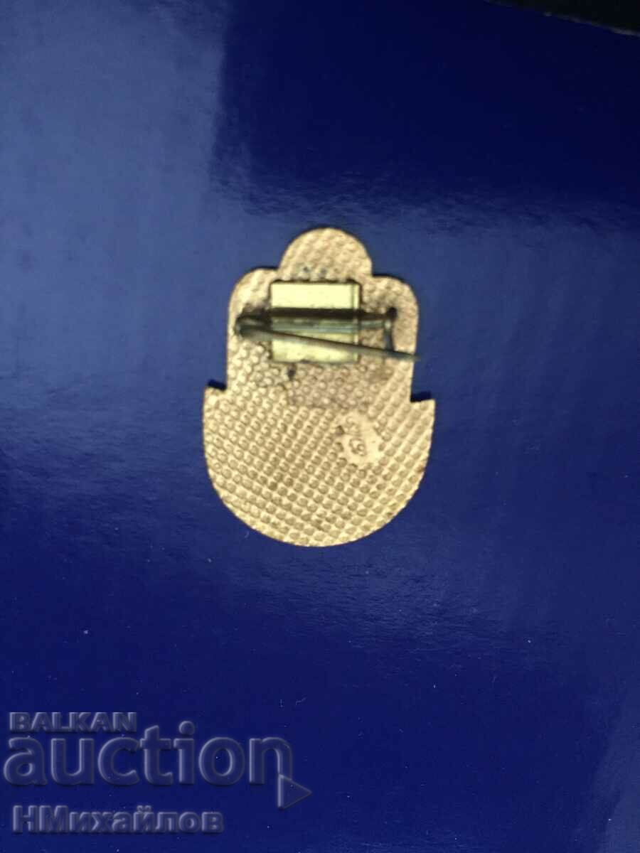 Auction Badge - Read the description. Auction Badge - Read the description.