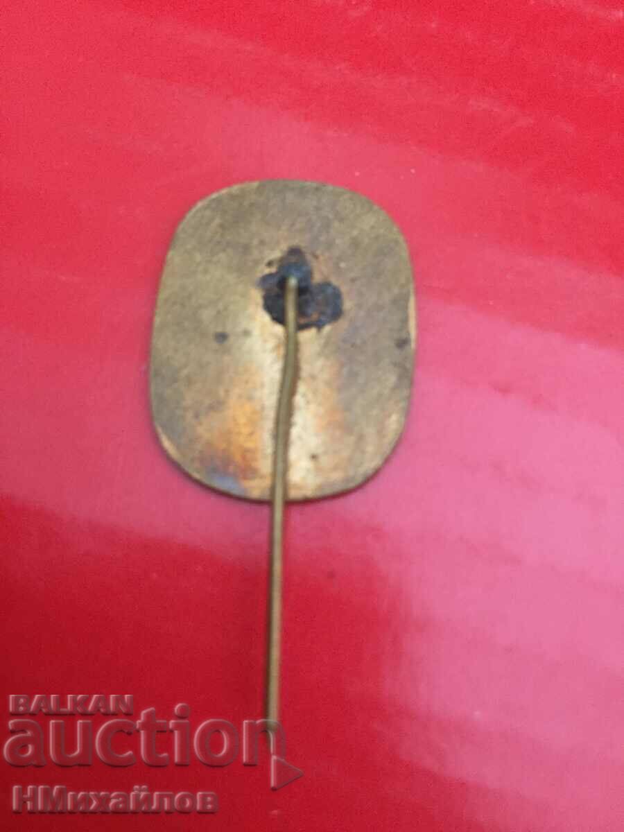 Auction Badge - Read the description. Auction Badge - Read the description.