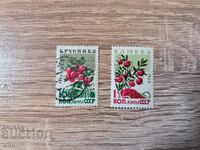 USSR Forest fruits 1964