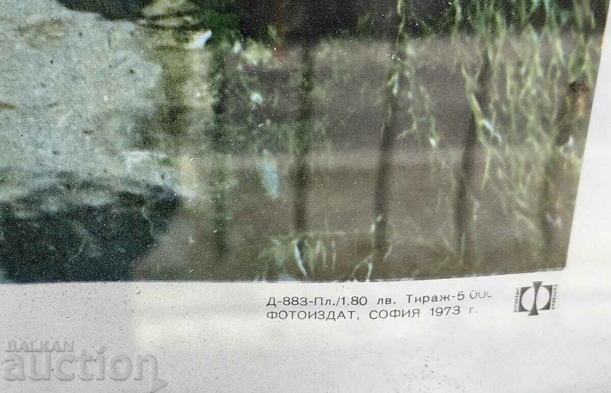 NESEBAR PORT PHOTO PUBLISH LARGE SOCIAL PICTURE PICTURE RAM - 7 NESEBAR PORT PHOTO PUBLISH LARGE SOCIAL PICTURE PICTURE RAM - 7