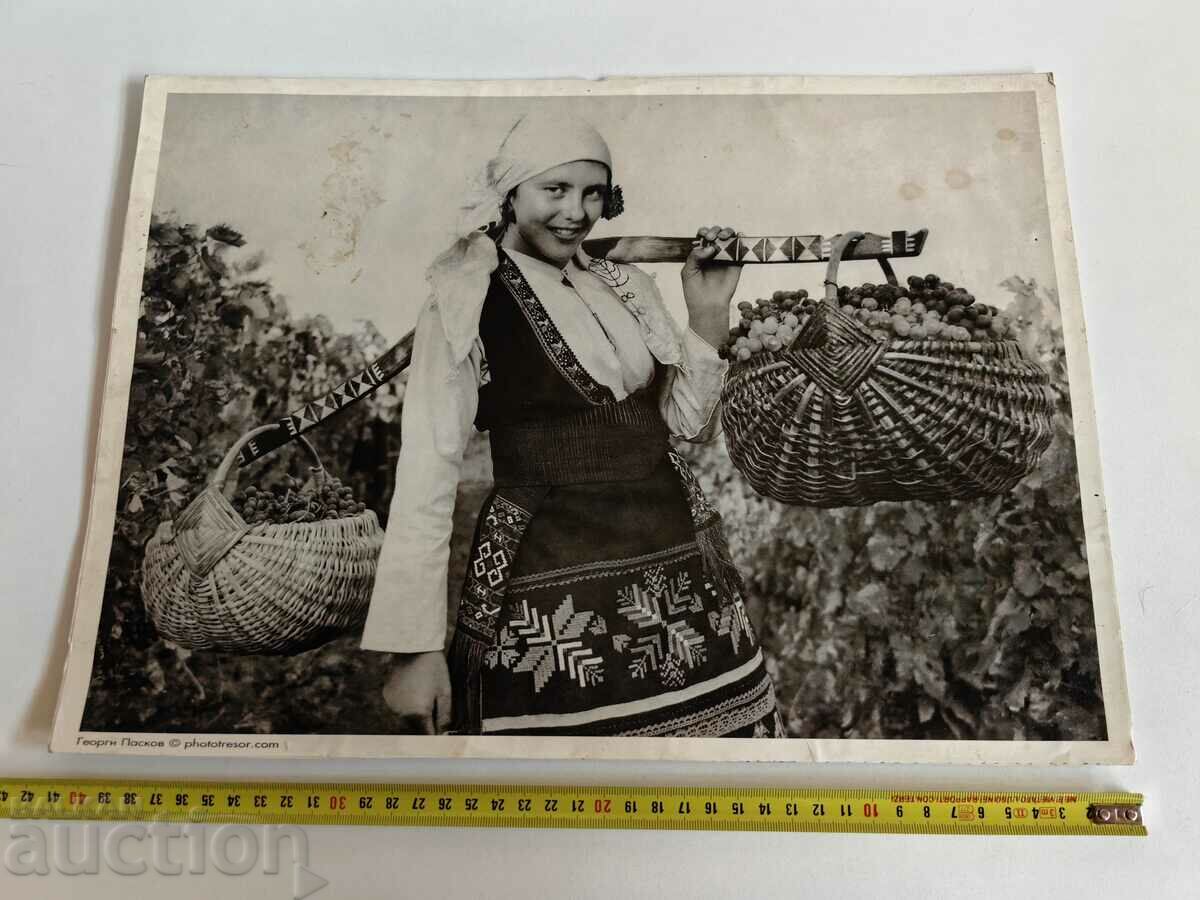 WEARING GRAPES EASTER FRESH PICTURE EASTER PICTURE PHOTOGRAPHY with price 59.00 BGN | € 30.17 WEARING GRAPES EASTER FRESH PICTURE EASTER PICTURE PHOTOGRAPHY with price 59.00 BGN | € 30.17