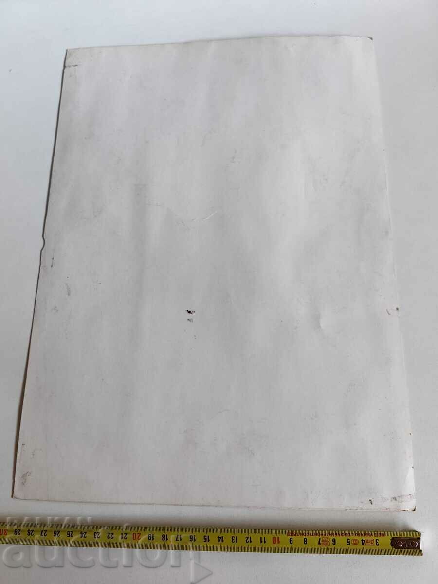 Auction WEARING GRAPES EASTER FRESH PICTURE EASTER PICTURE PHOTOGRAPHY Auction WEARING GRAPES EASTER FRESH PICTURE EASTER PICTURE PHOTOGRAPHY