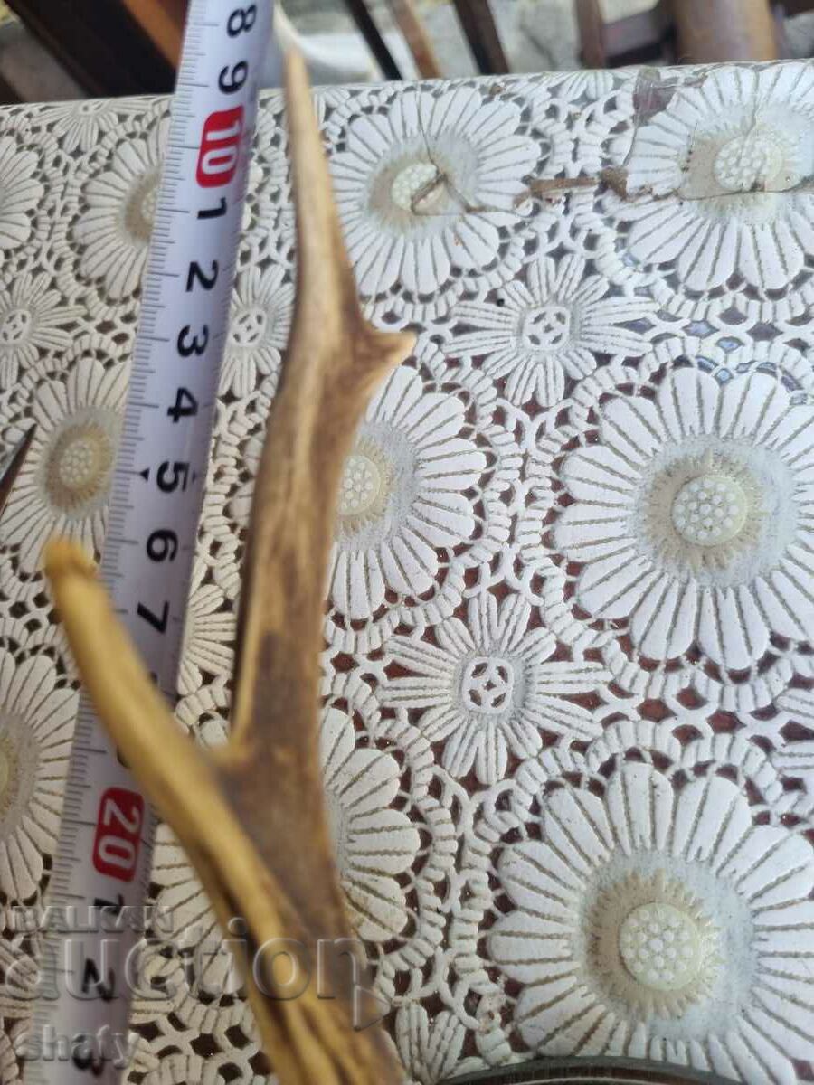 Delivery of Trophy. Horns Delivery of Trophy. Horns