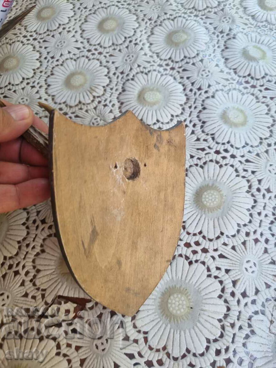 Trophy. Horns - 5 Trophy. Horns - 5