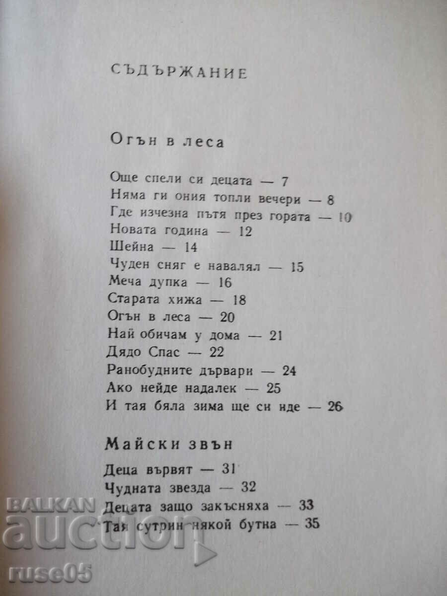 Book "Steps in the forest - Vladimir Golev" - 64 pages. - 5 Book "Steps in the forest - Vladimir Golev" - 64 pages. - 5