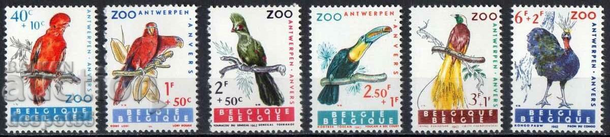 1962. Белгия. Екзотични птици.