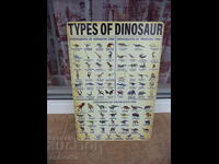 Metal plate various Types of dinosaurs dinosaur tyrannosaurus