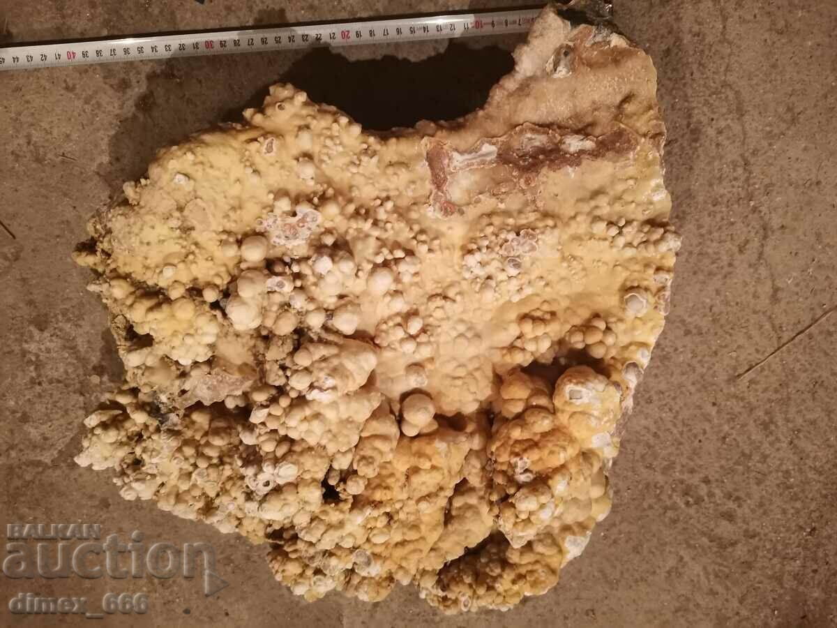 Cave formation - corallite / marble onyx with price 500.00 BGN | € 255.65