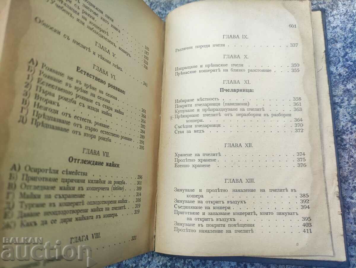 Bee and Hive - L. L. Langstroth - 5