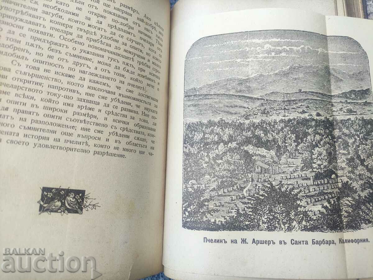 Bee and Hive - L. L. Langstroth - 7