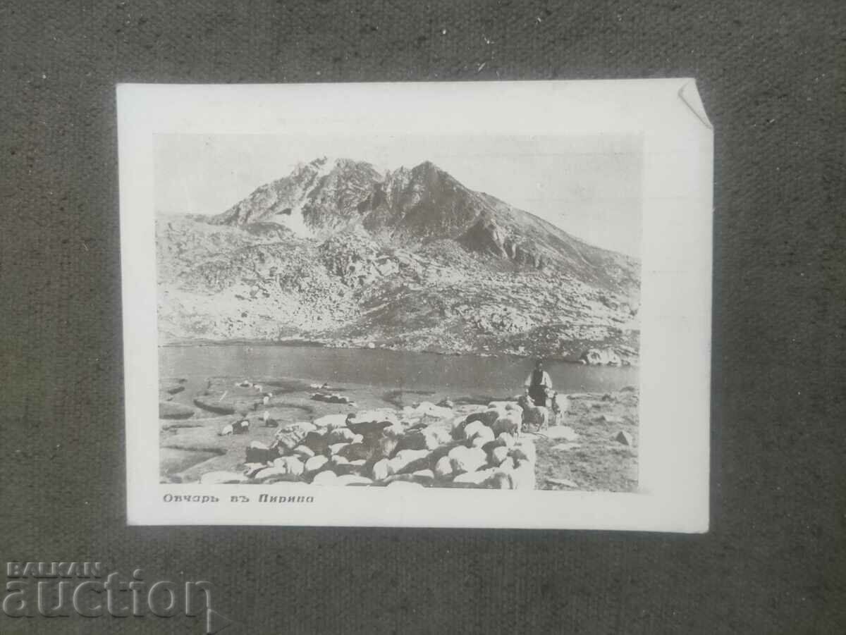 Shepherd in Pirin. Sp. and N. Yv Bozhinovi 1927