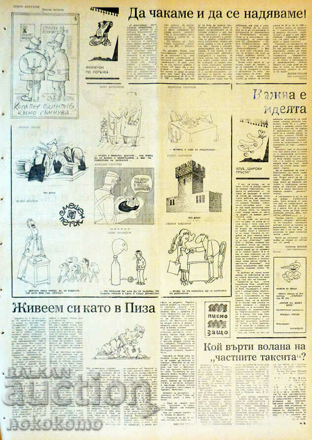 Auction Newspaper: STARSHEL Auction Newspaper: STARSHEL