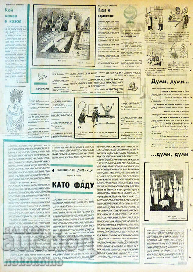 Newspaper: STARSHEL - 6 Newspaper: STARSHEL - 6