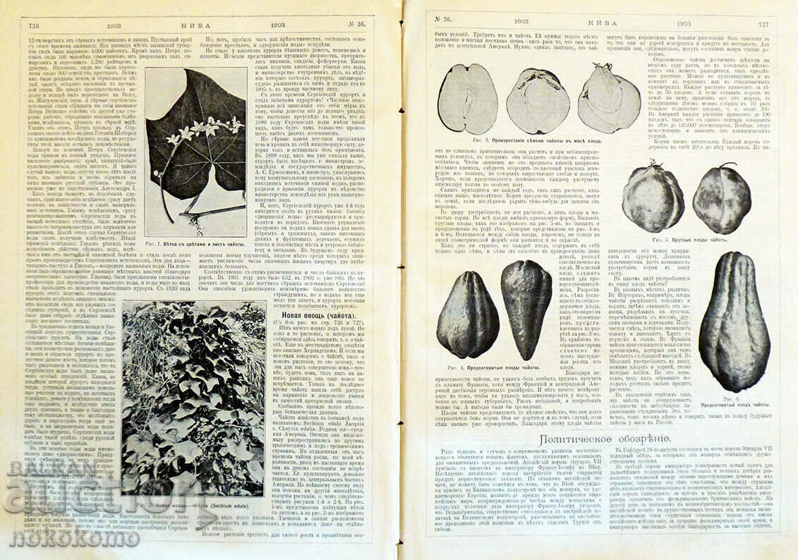 Revista: NIV A - revista veche de 126 de ani! - 7 Revista: NIV A - revista veche de 126 de ani! - 7