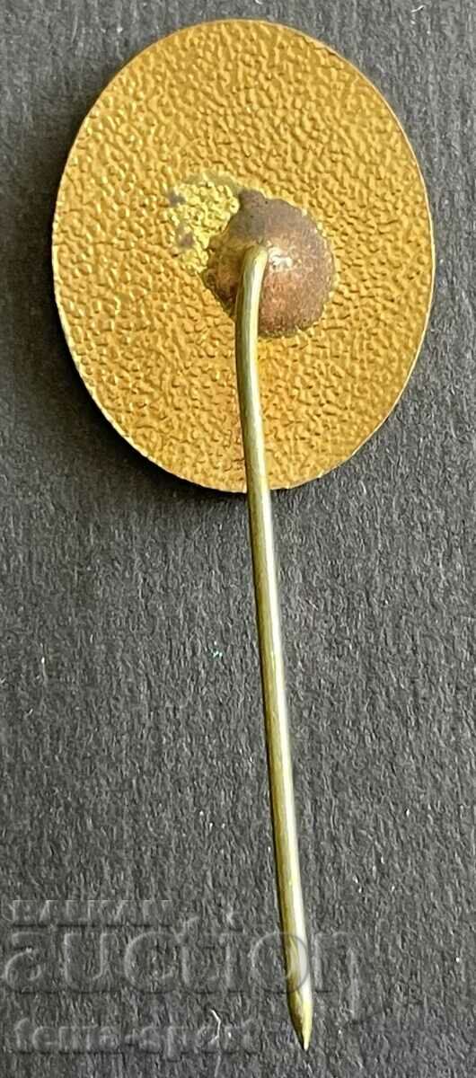 649 Bulgaria sign competitions Artistic Gymnastics Varna with price 4.00 BGN | € 2.05 649 Bulgaria sign competitions Artistic Gymnastics Varna with price 4.00 BGN | € 2.05