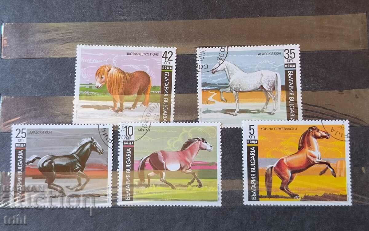 Bulgaria Fauna Horse 1991