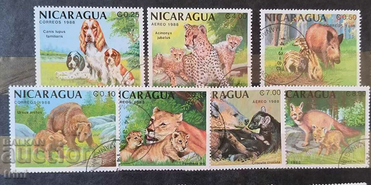 Nicaragua Fauna Wildlife 1988