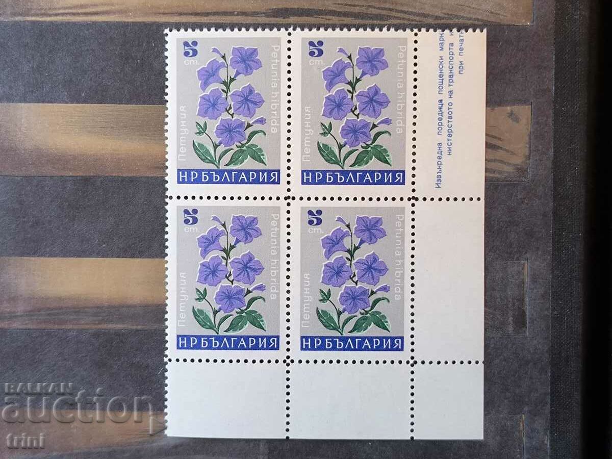 Bulgaria Flora Garden Flowers Petunia 1966 πλατεία