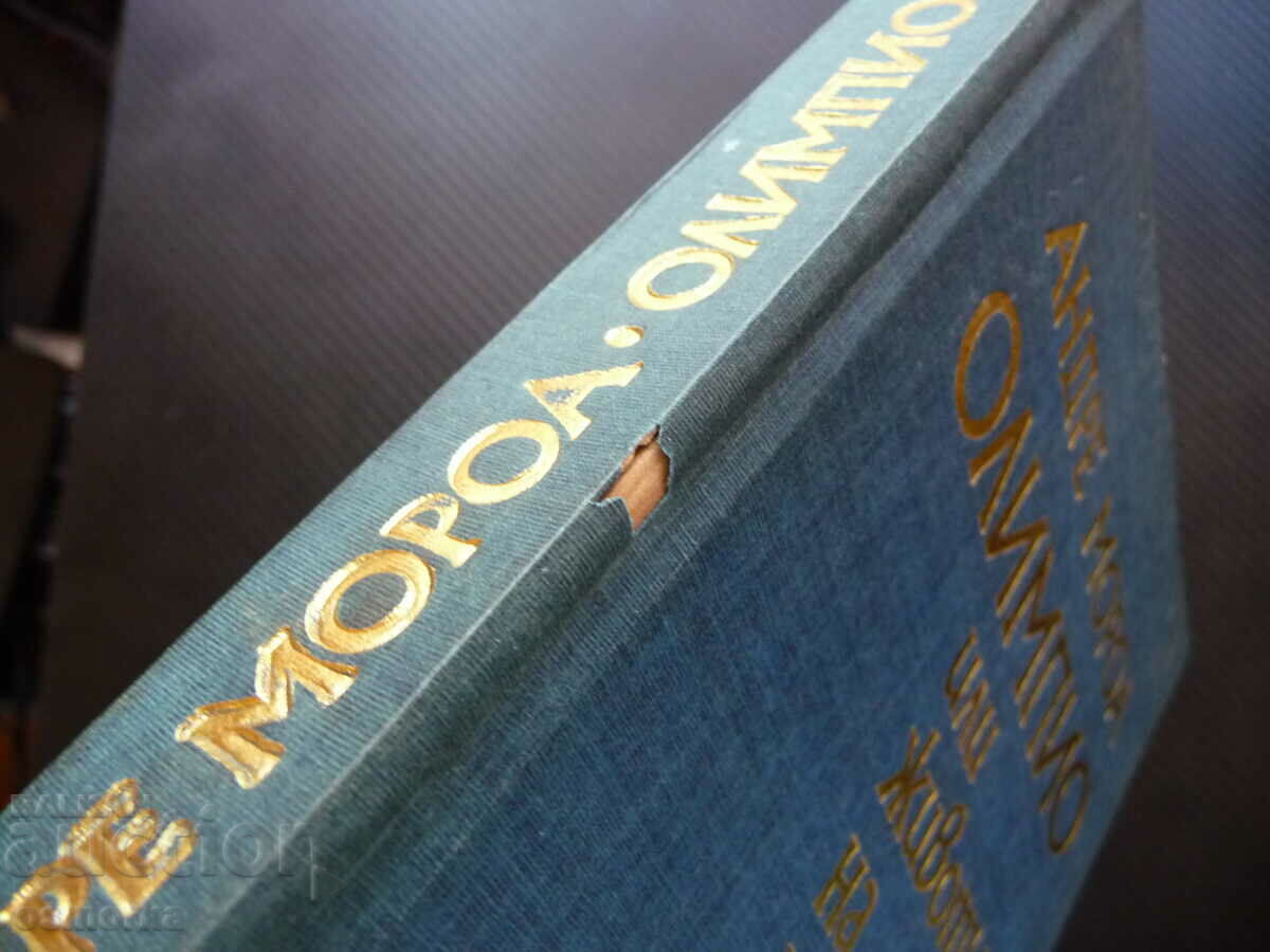 Delivery of Olympio, or the life of Victor Hugo Andre Moreau Biography Delivery of Olympio, or the life of Victor Hugo Andre Moreau Biography